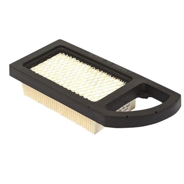 Filter zraka Briggs & Stratton - 794421