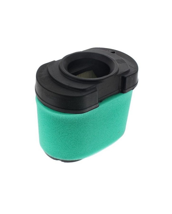 Filter zraka Briggs & Stratton - 792105